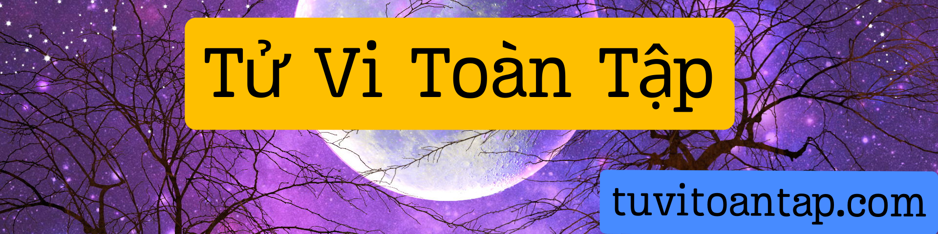 Tử Vi Toàn Tập